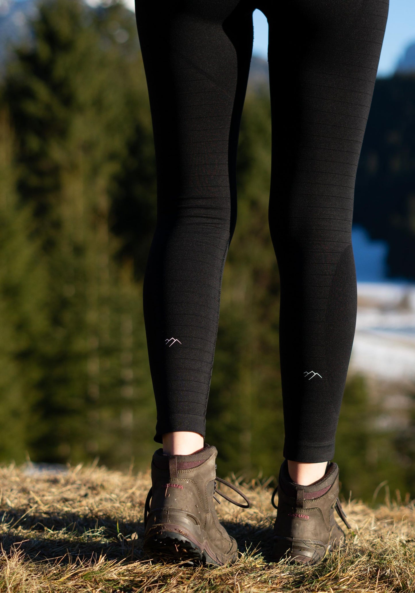 Faloria Eco