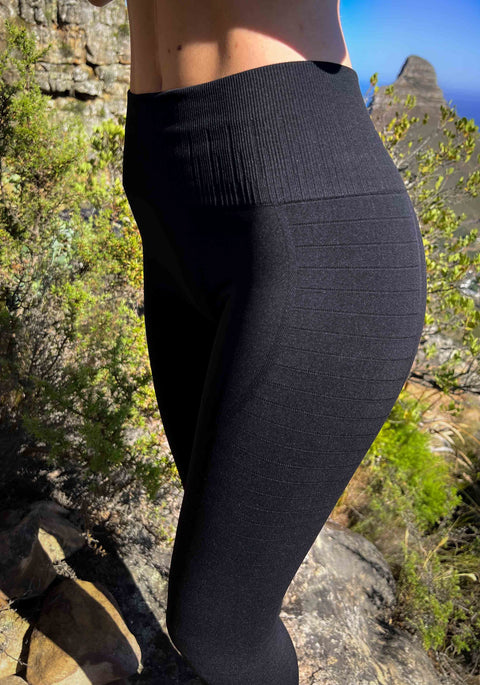 Faloria Eco